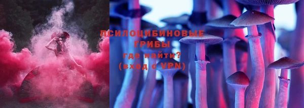 тгк Новокубанск