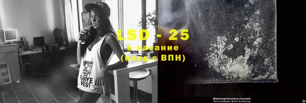 стаф Новозыбков