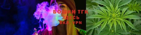 стаф Новозыбков