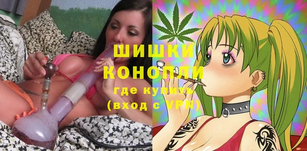 стаф Новозыбков