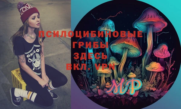 герыч Няндома