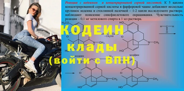 стаф Новозыбков