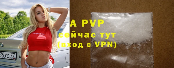 спиды Новодвинск